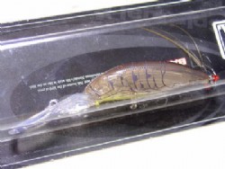 Alive shrimp