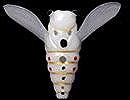 American shirohitori (Hyphantria cunea) (#S-43)