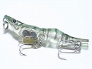 Striped shrimp