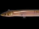 Clear loach