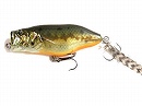 Orange belly largemouth bass (OBLMB)