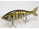Blue gill