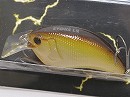 Holizon shad (#11)