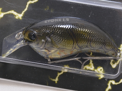 DEPS / EVOKE 1.2