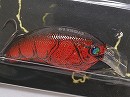 Red craw (#05)