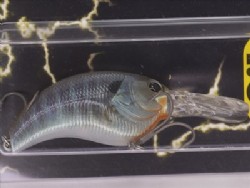 R blue gill (#10)