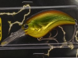 Gold shiner (#12) -Package damaged
