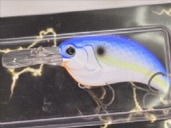 Sexy shad (#17)