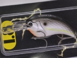 Black back shad (#18)