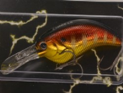 Red gill (#23)