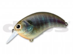 Real blue gill (#10) -Package damaged