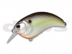 Black back shad (#18)