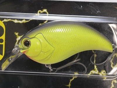 DEPS / EVOKE 2.0