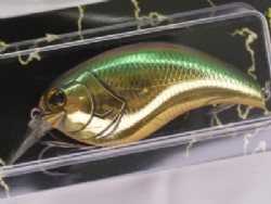 Golden shiner (#06)