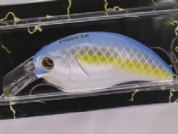 Sexy shad (#07)