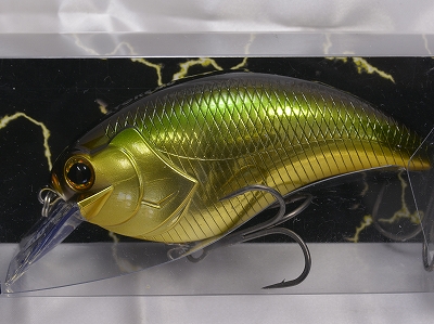 Golden shiner (#06)