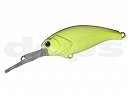 Table rock shad (#01)