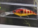 Red gill (#18)