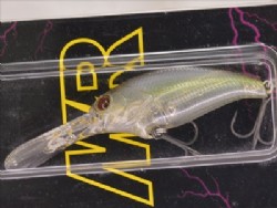 Sexy shad (#17)