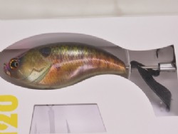 Scam perch (#04)
