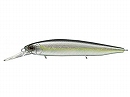 American shad (#253)