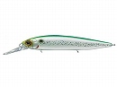 Emerald shiner (#244)