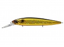 Golden shiner (#211)