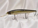 Crash silver shiner