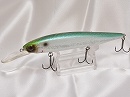 Emerald shiner