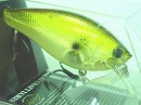 AG Golden shiner