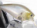 Ghost minnow