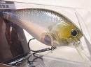 Ghost minnow