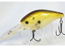 AG golden shiner
