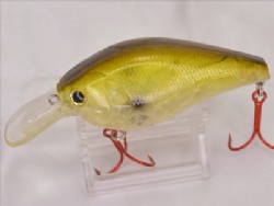 AG golden shiner
