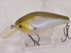 Ghost minnow