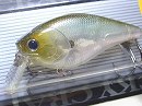 Ghost minnow