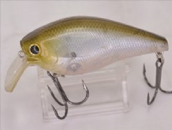 Ghost minnow