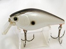 OR Tennessee shad