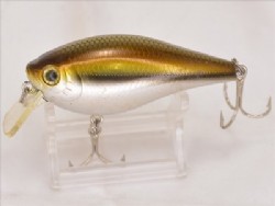 Biwa moroko