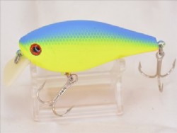 Blue back chart