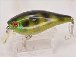 Oiled gill