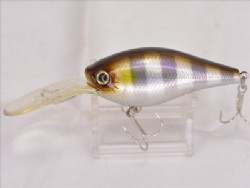 Blue gill