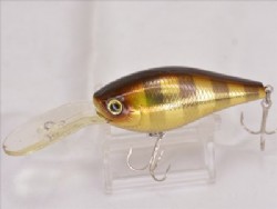 Brown gill