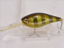 Ghost green gill
