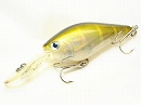 Ghost striped shad