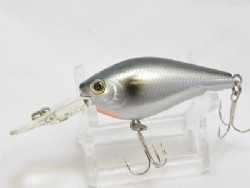 Silver shad