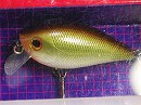 Brown & Shert shad