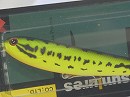 Hot bass
