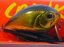 Kinkuro (Black gold)