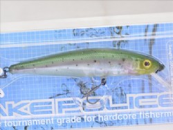 Rainbow trout